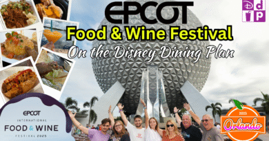 Epcot Food & Wine Festival 2025 | Disney Dining Plan Food & Drink Review