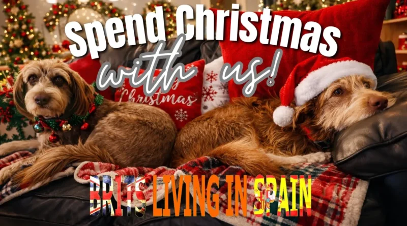 The Biggest Turkey in the Costa Blanca? Christmas in Spain with Brits Living in Spain